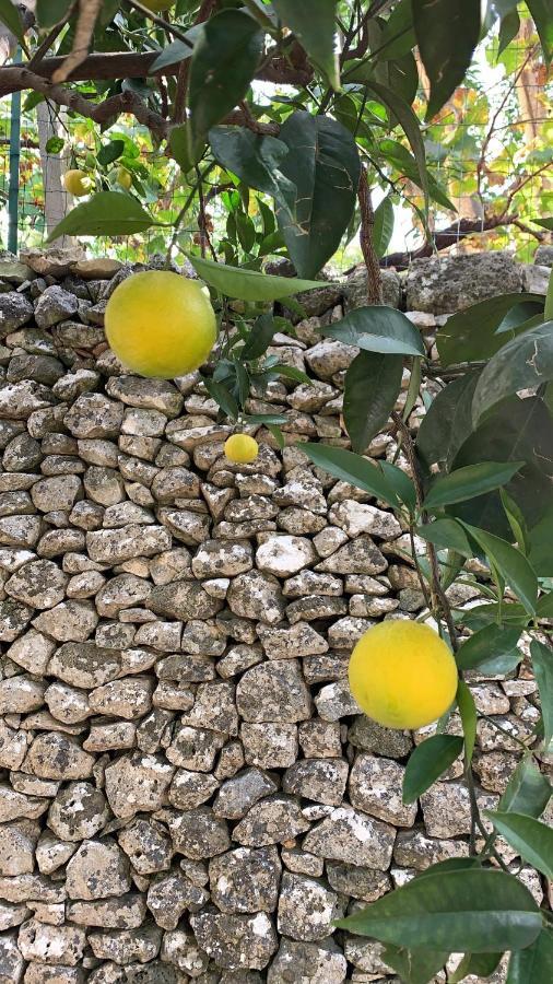 Apartament Dimora Le Zagare Ostuni Zewnętrze zdjęcie