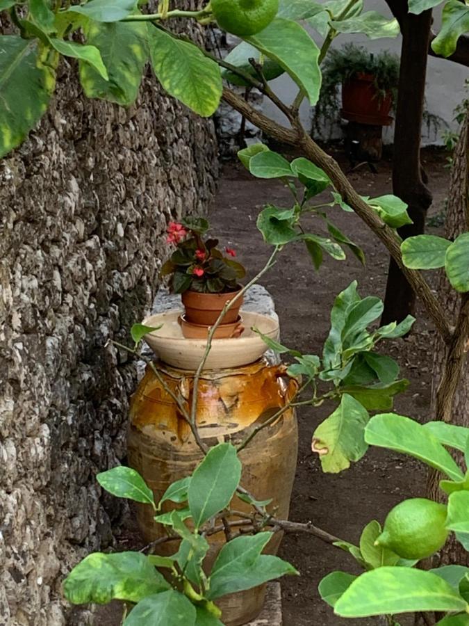 Apartament Dimora Le Zagare Ostuni Zewnętrze zdjęcie