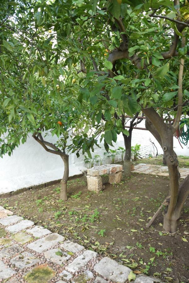 Apartament Dimora Le Zagare Ostuni Zewnętrze zdjęcie