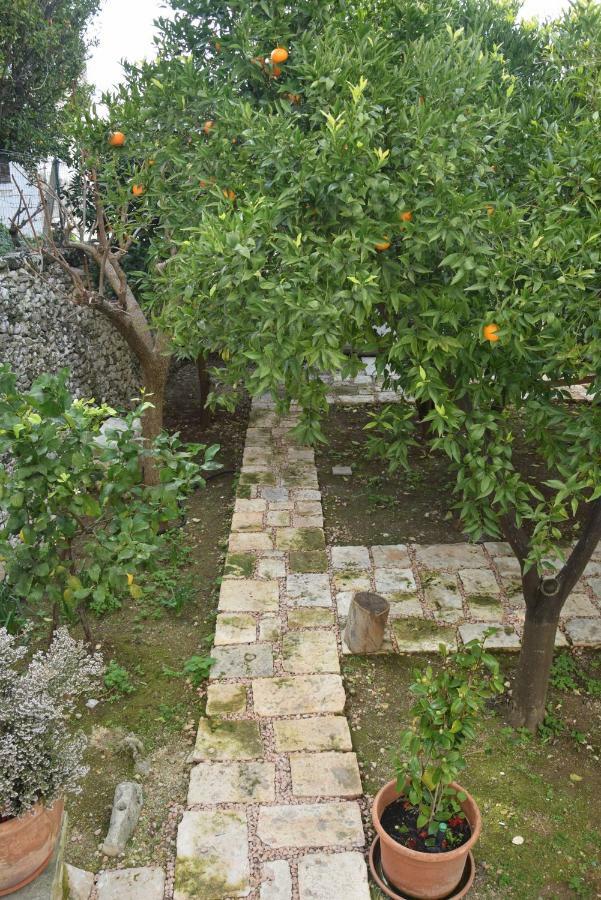 Apartament Dimora Le Zagare Ostuni Zewnętrze zdjęcie