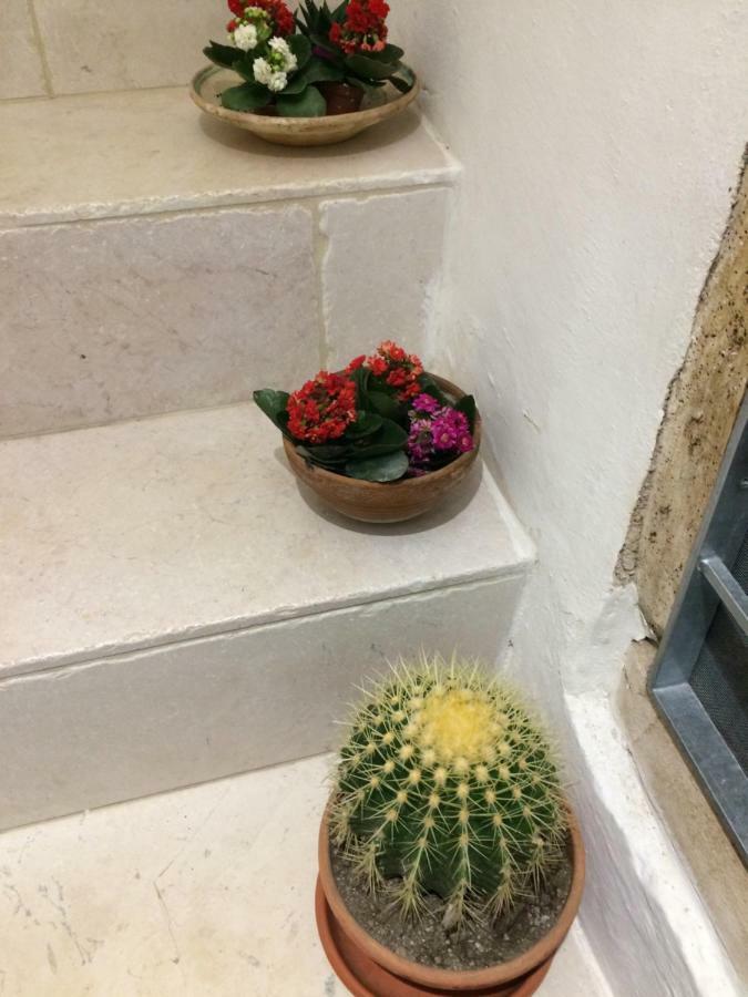 Apartament Dimora Le Zagare Ostuni Zewnętrze zdjęcie