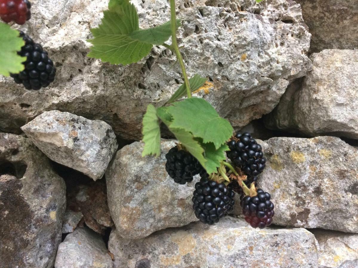 Apartament Dimora Le Zagare Ostuni Zewnętrze zdjęcie