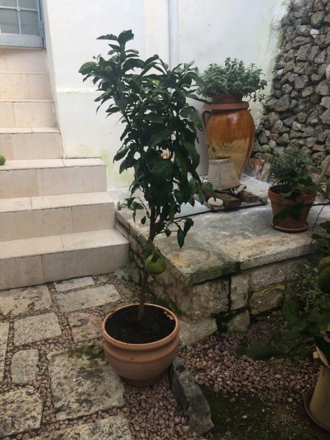 Apartament Dimora Le Zagare Ostuni Zewnętrze zdjęcie